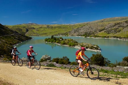 bicycle;bicycles;bike;bike-track;bike-tracks;bike-trail;bike-trails;bikes;Central-Otago;child;children;cycle;cycle-track;cycle-tracks;cycle-trail;cycle-trails;cycler;cyclers;cycles;cyclist;cyclists;families;family;island;islands;lake;Lake-Roxburgh;lakes;Long-Is;Long-Island;mountain-bike;mountain-biker;mountain-bikers;mountain-bikes;mtn-bike;mtn-biker;mtn-bikers;mtn-bikes;N.Z.;New-Zealand;NZ;Otago;Otago-Central;people;person;push-bike;push-bikes;push_bike;push_bikes;pushbike;pushbikes;Roxburgh;Roxburgh-Cycle-Track;Roxburgh-Cycle-Trail;Roxburgh-Gorge;Roxburgh-Gorge-Cycle-and-Walking-Trail;Roxburgh-Gorge-Cycle-Track;Roxburgh-Gorge-Cycle-Trail;Roxburgh-Gorge-Track;Roxburgh-Gorge-Trail;Roxburgh-Gorge-Walking-and-Cycle-Trail;S.I.;season;seasonal;seasons;SI;South-Is;South-Island;spring;spring-time;Sth-Is;tourism;tourist;tourists