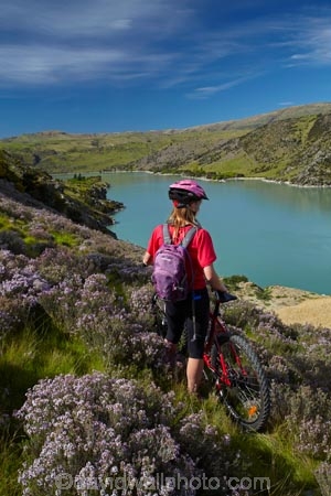 bicycle;bicycles;bike;bike-track;bike-tracks;bike-trail;bike-trails;bikes;Central-Otago;child;children;cycle;cycle-track;cycle-tracks;cycle-trail;cycle-trails;cycler;cyclers;cycles;cyclist;cyclists;girl;girls;lake;Lake-Roxburgh;lakes;mountain-bike;mountain-biker;mountain-bikers;mountain-bikes;mtn-bike;mtn-biker;mtn-bikers;mtn-bikes;N.Z.;New-Zealand;NZ;Otago;people;person;push-bike;push-bikes;push_bike;push_bikes;pushbike;pushbikes;Roxburgh;Roxburgh-Cycle-Track;Roxburgh-Cycle-Trail;Roxburgh-Gorge;Roxburgh-Gorge-Cycle-and-Walking-Trail;Roxburgh-Gorge-Cycle-Track;Roxburgh-Gorge-Cycle-Trail;Roxburgh-Gorge-Track;Roxburgh-Gorge-Trail;Roxburgh-Gorge-Walking-and-Cycle-Trail;S.I.;season;seasonal;seasons;SI;South-Is;South-Island;spring;spring-time;Sth-is;thyme;thyme-in-flower;tourism;tourist;tourists;violet;wild-thyme;young-girl;young-girls