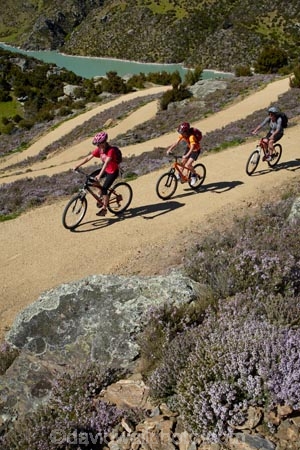 bicycle;bicycles;bike;bike-track;bike-tracks;bike-trail;bike-trails;bikes;Central-Otago;child;children;cycle;cycle-track;cycle-tracks;cycle-trail;cycle-trails;cycler;cyclers;cycles;cyclist;cyclists;families;family;hairpin-bend;hairpin-bends;hairpin-corner;hairpin-corners;lake;Lake-Roxburgh;lakes;mountain-bike;mountain-biker;mountain-bikers;mountain-bikes;mtn-bike;mtn-biker;mtn-bikers;mtn-bikes;N.Z.;New-Zealand;NZ;Otago;people;person;push-bike;push-bikes;push_bike;push_bikes;pushbike;pushbikes;Roxburgh;Roxburgh-Cycle-Track;Roxburgh-Cycle-Trail;Roxburgh-Gorge;Roxburgh-Gorge-Cycle-and-Walking-Trail;Roxburgh-Gorge-Cycle-Track;Roxburgh-Gorge-Cycle-Trail;Roxburgh-Gorge-Track;Roxburgh-Gorge-Trail;Roxburgh-Gorge-Walking-and-Cycle-Trail;S.I.;season;seasonal;seasons;SI;South-Is;South-Island;spring;spring-time;steep;Sth-is;switchback;switchback-road;switchback-roads;switchbacks;thyme;thyme-in-flower;tourism;tourist;tourists;violet;wild-thyme;zig-zag;zig-zag-road;zig-zag-roads;zig-zags;zig_zag;zig_zag-road;zig_zag-roads;zig_zags;zigzag;zigzag-road;zigzag-roads;zigzags