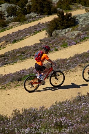bicycle;bicycles;bike;bike-track;bike-tracks;bike-trail;bike-trails;bikes;Central-Otago;child;children;cycle;cycle-track;cycle-tracks;cycle-trail;cycle-trails;cycler;cyclers;cycles;cyclist;cyclists;hairpin-bend;hairpin-bends;hairpin-corner;hairpin-corners;mountain-bike;mountain-biker;mountain-bikers;mountain-bikes;mtn-bike;mtn-biker;mtn-bikers;mtn-bikes;N.Z.;New-Zealand;NZ;Otago;people;person;push-bike;push-bikes;push_bike;push_bikes;pushbike;pushbikes;Roxburgh;Roxburgh-Cycle-Track;Roxburgh-Cycle-Trail;Roxburgh-Gorge;Roxburgh-Gorge-Cycle-and-Walking-Trail;Roxburgh-Gorge-Cycle-Track;Roxburgh-Gorge-Cycle-Trail;Roxburgh-Gorge-Track;Roxburgh-Gorge-Trail;Roxburgh-Gorge-Walking-and-Cycle-Trail;S.I.;season;seasonal;seasons;SI;South-Is;South-Island;spring;spring-time;steep;Sth-is;switchback;switchback-road;switchback-roads;switchbacks;thyme;thyme-in-flower;tourism;tourist;tourists;violet;wild-thyme;zig-zag;zig-zag-road;zig-zag-roads;zig-zags;zig_zag;zig_zag-road;zig_zag-roads;zig_zags;zigzag;zigzag-road;zigzag-roads;zigzags