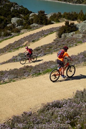 bicycle;bicycles;bike;bike-track;bike-tracks;bike-trail;bike-trails;bikes;Central-Otago;child;children;cycle;cycle-track;cycle-tracks;cycle-trail;cycle-trails;cycler;cyclers;cycles;cyclist;cyclists;families;family;hairpin-bend;hairpin-bends;hairpin-corner;hairpin-corners;lake;Lake-Roxburgh;lakes;mountain-bike;mountain-biker;mountain-bikers;mountain-bikes;mtn-bike;mtn-biker;mtn-bikers;mtn-bikes;N.Z.;New-Zealand;NZ;Otago;people;person;push-bike;push-bikes;push_bike;push_bikes;pushbike;pushbikes;Roxburgh;Roxburgh-Cycle-Track;Roxburgh-Cycle-Trail;Roxburgh-Gorge;Roxburgh-Gorge-Cycle-and-Walking-Trail;Roxburgh-Gorge-Cycle-Track;Roxburgh-Gorge-Cycle-Trail;Roxburgh-Gorge-Track;Roxburgh-Gorge-Trail;Roxburgh-Gorge-Walking-and-Cycle-Trail;S.I.;season;seasonal;seasons;SI;South-Is;South-Island;spring;spring-time;steep;Sth-is;switchback;switchback-road;switchback-roads;switchbacks;thyme;thyme-in-flower;tourism;tourist;tourists;violet;wild-thyme;zig-zag;zig-zag-road;zig-zag-roads;zig-zags;zig_zag;zig_zag-road;zig_zag-roads;zig_zags;zigzag;zigzag-road;zigzag-roads;zigzags