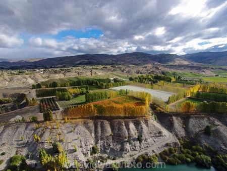 aerial;Aerial-drone;Aerial-drones;aerial-image;aerial-images;aerial-photo;aerial-photograph;aerial-photographs;aerial-photography;aerial-photos;aerial-view;aerial-views;aerials;autuminal;autumn;autumn-colour;autumn-colours;autumnal;Bannockburn;Central-Otago;color;colors;colour;colours;country;countryside;Cromwell;crop;crops;deciduous;Drone;Drones;emotely-operated-aircraft;fall;farm;farming;farmland;farms;field;fruit;fruit-tree;fruit-trees;gold;golden;horticulture;leaf;leaves;N.Z.;New-Zealand;NZ;orange;orchard;orchards;Otago;poplar;poplar-tree;poplar-trees;poplars;Quadcopter;Quadcopters;remote-piloted-aircraft-systems;remotely-piloted-aircraft;remotely-piloted-aircrafts;ROA;RPA;RPAS;rural;S.I.;season;seasonal;seasons;SI;South-Is;South-Island;Sth-Is;tree;trees;U.A.V.;UA;UAS;UAV;UAVs;Unmanned-aerial-vehicle;unmanned-aircraft;unpiloted-aerial-vehicle;unpiloted-aerial-vehicles;unpiloted-air-system;yellow