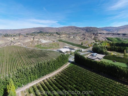 aerial;Aerial-drone;Aerial-drones;aerial-image;aerial-images;aerial-photo;aerial-photograph;aerial-photographs;aerial-photography;aerial-photos;aerial-view;aerial-views;aerials;agricultural;agriculture;Bannockburn;Central-Otago;Central-Otago-Vineyards;country;countryside;Cromwell;crop;crops;cultivation;Drone;Drones;emotely-operated-aircraft;farm;farming;farmland;farms;field;fields;grape;grapes;grapevine;horticulture;N.Z.;New-Zealand;NZ;Otago;poplar;poplar-tree;poplar-trees;poplars;Quadcopter;Quadcopters;remote-piloted-aircraft-systems;remotely-piloted-aircraft;remotely-piloted-aircrafts;ROA;row;rows;RPA;RPAS;rural;S.I.;SI;South-Is;South-Island;Sth-Is;U.A.V.;UA;UAS;UAV;UAVs;Unmanned-aerial-vehicle;unmanned-aircraft;unpiloted-aerial-vehicle;unpiloted-aerial-vehicles;unpiloted-air-system;vine;vines;vineyard;vineyards;vintage;wine;wineries;winery;wines