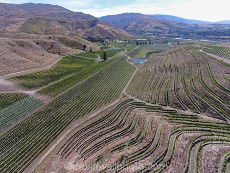 aerial;Aerial-drone;Aerial-drones;aerial-image;aerial-images;aerial-photo;aerial-photograph;aerial-photographs;aerial-photography;aerial-photos;aerial-view;aerial-views;aerials;agricultural;agriculture;Bannockburn;Central-Otago;Central-Otago-Vineyards;country;countryside;crop;crops;cultivation;Drone;Drones;emotely-operated-aircraft;farm;farming;farmland;farms;Felton-Rd-Vineyard;Felton-Road-Vineyard;Felton-Road-Wines;field;fields;grape;grapes;grapevine;horticulture;N.Z.;New-Zealand;NZ;Otago;Quadcopter;Quadcopters;remote-piloted-aircraft-systems;remotely-piloted-aircraft;remotely-piloted-aircrafts;ROA;row;rows;RPA;RPAS;rural;S.I.;SI;South-Is;South-Island;Sth-Is;U.A.V.;UA;UAS;UAV;UAVs;Unmanned-aerial-vehicle;unmanned-aircraft;unpiloted-aerial-vehicle;unpiloted-aerial-vehicles;unpiloted-air-system;vine;vines;vineyard;vineyards;vintage;wine;wineries;winery;wines