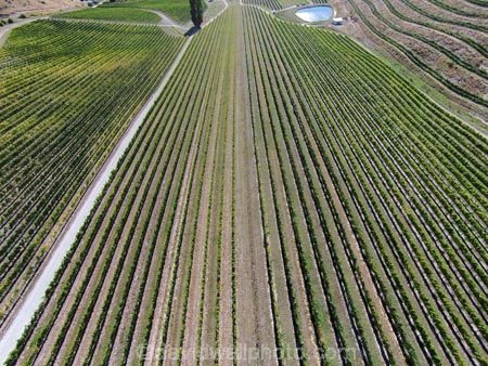 aerial;Aerial-drone;Aerial-drones;aerial-image;aerial-images;aerial-photo;aerial-photograph;aerial-photographs;aerial-photography;aerial-photos;aerial-view;aerial-views;aerials;agricultural;agriculture;Bannockburn;Central-Otago;Central-Otago-Vineyards;country;countryside;crop;crops;cultivation;Drone;Drones;emotely-operated-aircraft;farm;farming;farmland;farms;Felton-Rd-Vineyard;Felton-Road-Vineyard;Felton-Road-Wines;field;fields;grape;grapes;grapevine;horticulture;N.Z.;New-Zealand;NZ;Otago;Quadcopter;Quadcopters;remote-piloted-aircraft-systems;remotely-piloted-aircraft;remotely-piloted-aircrafts;ROA;row;rows;RPA;RPAS;rural;S.I.;SI;South-Is;South-Island;Sth-Is;U.A.V.;UA;UAS;UAV;UAVs;Unmanned-aerial-vehicle;unmanned-aircraft;unpiloted-aerial-vehicle;unpiloted-aerial-vehicles;unpiloted-air-system;vine;vines;vineyard;vineyards;vintage;wine;wineries;winery;wines
