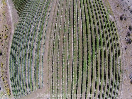 aerial;Aerial-drone;Aerial-drones;aerial-image;aerial-images;aerial-photo;aerial-photograph;aerial-photographs;aerial-photography;aerial-photos;aerial-view;aerial-views;aerials;agricultural;agriculture;Bannockburn;Central-Otago;Central-Otago-Vineyards;country;countryside;crop;crops;cultivation;Drone;Drones;emotely-operated-aircraft;farm;farming;farmland;farms;Felton-Rd-Vineyard;Felton-Road-Vineyard;Felton-Road-Wines;field;fields;grape;grapes;grapevine;horticulture;N.Z.;New-Zealand;NZ;Otago;Quadcopter;Quadcopters;remote-piloted-aircraft-systems;remotely-piloted-aircraft;remotely-piloted-aircrafts;ROA;row;rows;RPA;RPAS;rural;S.I.;SI;South-Is;South-Island;Sth-Is;U.A.V.;UA;UAS;UAV;UAVs;Unmanned-aerial-vehicle;unmanned-aircraft;unpiloted-aerial-vehicle;unpiloted-aerial-vehicles;unpiloted-air-system;vine;vines;vineyard;vineyards;vintage;wine;wineries;winery;wines