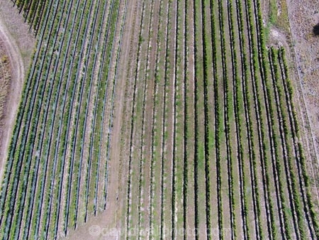 aerial;Aerial-drone;Aerial-drones;aerial-image;aerial-images;aerial-photo;aerial-photograph;aerial-photographs;aerial-photography;aerial-photos;aerial-view;aerial-views;aerials;agricultural;agriculture;Bannockburn;Central-Otago;Central-Otago-Vineyards;country;countryside;crop;crops;cultivation;Drone;Drones;emotely-operated-aircraft;farm;farming;farmland;farms;Felton-Rd-Vineyard;Felton-Road-Vineyard;Felton-Road-Wines;field;fields;grape;grapes;grapevine;horticulture;N.Z.;New-Zealand;NZ;Otago;Quadcopter;Quadcopters;remote-piloted-aircraft-systems;remotely-piloted-aircraft;remotely-piloted-aircrafts;ROA;row;rows;RPA;RPAS;rural;S.I.;SI;South-Is;South-Island;Sth-Is;U.A.V.;UA;UAS;UAV;UAVs;Unmanned-aerial-vehicle;unmanned-aircraft;unpiloted-aerial-vehicle;unpiloted-aerial-vehicles;unpiloted-air-system;vine;vines;vineyard;vineyards;vintage;wine;wineries;winery;wines