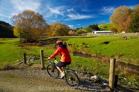 agricultural;agriculture;autuminal;autumn;autumn-colour;autumn-colours;autumnal;bicycle;bicycles;bike;bike-track;bike-tracks;bike-trail;bike-trails;bikes;Central-Otago;Clutha-Gold-Bike-Trail;Clutha-Gold-Cycle-Trail;Clutha-Gold-Track;Clutha-Gold-Trail;color;colors;colour;colours;country;countryside;cycle;cycle-track;cycle-tracks;cycle-trail;cycle-trails;cycler;cyclers;cycles;cycleway;cycleways;cyclist;cyclists;deciduous;Evans-Flat;excercise;excercising;fall;farm;farming;farmland;farms;field;fields;gold;golden;Lawrence;leaf;leaves;meadow;meadows;model-released;mountain-bike;mountain-biker;mountain-bikers;mountain-bikes;MR;mtn-bike;mtn-biker;mtn-bikers;mtn-bikes;N.Z.;New-Zealand;NZ;Otago;paddock;paddocks;pasture;pastures;people;person;push-bike;push-bikes;push_bike;push_bikes;pushbike;pushbikes;rural;S.I.;season;seasonal;seasons;SI;South-Is;South-Island;Sth-Is;tree;trees;willow-tree;willow-trees;yellow