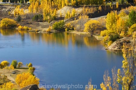 autuminal;autumn;autumnal;Bannockburn-Inlet;central-otago;color;colors;colour;colours;deciduous;fall;lake;Lake-Dunstan;lakes;leaf;leaves;new-zealand;South-Island;tree;trees;water