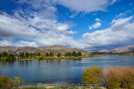 autuminal;autumn;autumn-colour;autumn-colours;autumnal;Cairnmuir-Range;color;colors;colour;colours;Cromwell;deciduous;fall;gold;golden;Lake-Dunstan;leaf;leaves;N.Z.;New-Zealand;NZ;Otago;S.I.;season;seasonal;seasons;SI;South-Is;South-Island;Sth-Is;tree;trees;yellow