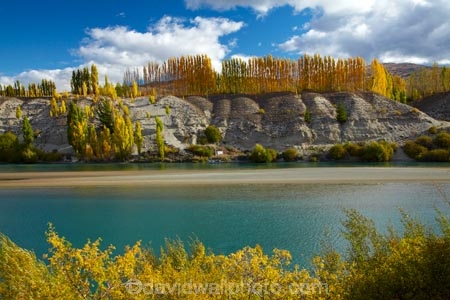 autuminal;autumn;autumn-colour;autumn-colours;autumnal;Bannockburn;Central-Otago;color;colors;colour;colours;Cromwell;deciduous;fall;gold;golden;Kawarau-Arm;Kawarau-River;lake;Lake-Dunstan;lakes;leaf;leaves;N.Z.;New-Zealand;NZ;Otago;poplar;poplar-tree;poplar-trees;poplars;river;rivers;S.I.;season;seasonal;seasons;SI;South-Is;South-Island;Sth-Is;tree;trees;yellow