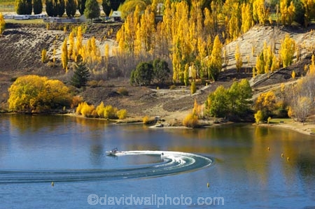 autuminal;autumn;Autumn-Colours;autumnal;Bannockburn-Inlet;boat;boats;cairnmuir-campground;cairnmuir-mountains;cairnmuir-range;campground;campgrounds;camping-ground;camping-grounds;Central-Otago;color;colors;colour;colours;deciduous;exciting;fall;fast;lake;Lake-Dunstan;lakes;leaf;leaves;new-zealand;South-Island;speed-boat;speed-boats;speedy;sport;sports;tree;trees;water;water-ski;water-skier;water-skiers;water-skiing;water_ski;water_skier;water_skiers;water_skiing;waterski;waterskier;waterskiers;waterskiing;yellow