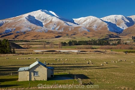 agricultural;agriculture;building;buildings;Central-Otago;cold;Coldness;country;countryside;extreme-weather;farm;Farm-Building;Farm-Buildings;Farm-Shed;Farm-Sheds;farming;farmland;farms;field;fields;freeze;freezing;heritage;historic;historic-building;historic-buildings;historical;historical-building;historical-buildings;history;Kakanui-Mountains;Maniototo;meadow;meadows;N.Z.;New-Zealand;NZ;old;Old-farm-buildings;Otago;paddock;paddocks;pasture;pastures;rural;S.I.;Scenic;Scenics;Season;Seasons;SI;snow;snowy;South-Is;South-Island;Sth-Is;tradition;traditional;weather;white;winter;Wintertime;wintery;wintry