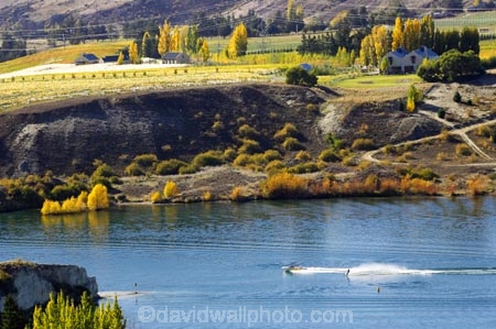 agricultural;agriculture;autuminal;autumn;autumnal;Bannockburn;Bannockburn-Inlet;boat;boats;cairnmuir-mountains;cairnmuir-range;Cairnmuir-Vineyard;carrick-winery;Central-Otago;color;colors;colour;colours;country;countryside;crop;crops;cultivation;deciduous;exciting;fall;farm;farming;farmland;farms;fast;field;fields;grape;grapes;grapevine;horticulture;kawarau-arm;lake;Lake-Dunstan;lakes;leaf;leaves;New-Zealand;reflection;reflections;row;rows;rural;South-Island;speed-boat;speed-boats;speedy;sport;sports;tree;trees;vine;vines;vineyard;vineyards;vintage;water;water-ski;water-skier;water-skiers;water-skiing;water_ski;water_skier;water_skiers;water_skiing;waterski;waterskier;waterskiers;waterskiing;wine;wineries;winery;wines