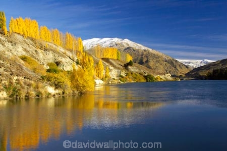 autuminal;autumn;autumnal;Bannockburn;Central-Otago;color;colors;colour;colours;cromwell;deciduous;fall;gold;golden;kawarau-arm;lake;Lake-Dunstan;lakes;leaf;leaves;Mount-Difficulty;Mt-Difficulty;Mt.-Difficulty;New-Zealand;poplar;poplar-tree;poplar-trees;poplars;reflection;reflections;snow;snowy;South-Island;tree;trees;water;yellow