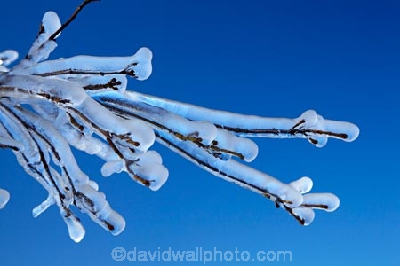 Alexandra;Central-Otago;crop;farm;farming;farms;frost-fighting;fruit-tree;fruit-trees;horticulture;ice;icicle;Icicles;icy;N.Z.;New-Zealand;NZ;orchard;orchard-tree;orchards;Otago;rural;S.I.;SI;South-Is;South-Island;spring;spring-time;spring_time;springtime;sprinklers;Sth-Is