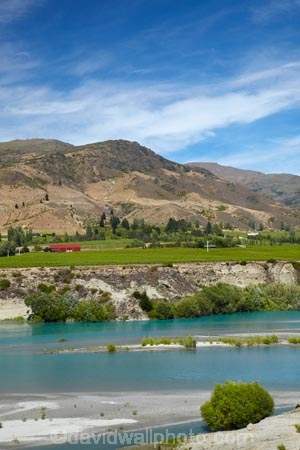 agricultural;agriculture;Bannockburn;Central-Otago;country;countryside;Cromwell;crop;crops;cultivation;farm;farming;farmland;farms;field;fields;grape;grapes;grapevine;horticulture;Kawarau-Arm;Kawarau-River;lake;Lake-Dunstan;lakes;N.Z.;New-Zealand;NZ;Otago;row;rows;rural;S.I.;SI;South-Is;South-Island;Sth-Is;vine;vines;vineyard;Vineyards;vintage;wine;wineries;winery;wines