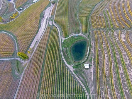 aerial;Aerial-drone;Aerial-drones;aerial-image;aerial-images;aerial-photo;aerial-photograph;aerial-photographs;aerial-photography;aerial-photos;aerial-view;aerial-views;aerials;agricultural;agriculture;autuminal;autumn;autumn-colour;autumn-colours;autumnal;Bannockburn;Central-Otago;Central-Otago-Vineyards;color;colors;colour;colours;country;countryside;crop;crops;cultivation;deciduous;Drone;Drones;emotely-operated-aircraft;fall;farm;farming;farmland;farms;Felton-Rd-Vineyard;Felton-Road-Vineyard;Felton-Road-Wines;field;fields;gold;golden;grape;grapes;grapevine;horticulture;leaf;leaves;N.Z.;New-Zealand;NZ;Otago;pond;ponds;Quadcopter;Quadcopters;remote-piloted-aircraft-systems;remotely-piloted-aircraft;remotely-piloted-aircrafts;ROA;row;rows;RPA;RPAS;rural;S.I.;season;seasonal;seasons;SI;South-Is;South-Island;Sth-Is;Sth-Is.;tree;trees;U.A.V.;UA;UAS;UAV;UAVs;Unmanned-aerial-vehicle;unmanned-aircraft;unpiloted-aerial-vehicle;unpiloted-aerial-vehicles;unpiloted-air-system;vine;vines;vineyard;vineyards;vintage;wine;wineries;winery;wines;yellow
