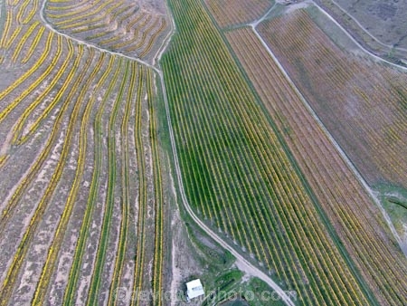 aerial;Aerial-drone;Aerial-drones;aerial-image;aerial-images;aerial-photo;aerial-photograph;aerial-photographs;aerial-photography;aerial-photos;aerial-view;aerial-views;aerials;agricultural;agriculture;autuminal;autumn;autumn-colour;autumn-colours;autumnal;Bannockburn;Central-Otago;Central-Otago-Vineyards;color;colors;colour;colours;country;countryside;crop;crops;cultivation;deciduous;Drone;Drones;emotely-operated-aircraft;fall;farm;farming;farmland;farms;Felton-Rd-Vineyard;Felton-Road-Vineyard;Felton-Road-Wines;field;fields;gold;golden;grape;grapes;grapevine;horticulture;leaf;leaves;N.Z.;New-Zealand;NZ;Otago;Quadcopter;Quadcopters;remote-piloted-aircraft-systems;remotely-piloted-aircraft;remotely-piloted-aircrafts;ROA;row;rows;RPA;RPAS;rural;S.I.;season;seasonal;seasons;SI;South-Is;South-Island;Sth-Is;Sth-Is.;tree;trees;U.A.V.;UA;UAS;UAV;UAVs;Unmanned-aerial-vehicle;unmanned-aircraft;unpiloted-aerial-vehicle;unpiloted-aerial-vehicles;unpiloted-air-system;vine;vines;vineyard;vineyards;vintage;wine;wineries;winery;wines;yellow