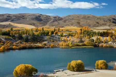 agricultural;agriculture;autuminal;autumn;autumn-colour;autumn-colours;autumnal;Bannockburn;Bannockburn-Inlet;cairnmuir-campground;cairnmuir-mountains;cairnmuir-range;campground;campgrounds;camping-ground;camping-grounds;Central-Otago;central-otago-vineyard;central-otago-vineyards;central-otago-wineries;central-otago-winery;color;colors;colour;colours;country;countryside;cromwell;crop;crops;cultivation;deciduous;fall;farm;farming;farmland;farms;field;fields;gold;golden;grape;grapes;grapevine;horticulture;kawarau-arm;lake;Lake-Dunstan;lakes;leaf;leaves;N.Z.;New-Zealand;NZ;Otago;poplar;poplar-tree;poplar-trees;poplars;row;rows;rural;S.I.;season;seasonal;seasons;SI;south-island;Sth-Is;Sth-Is.;tree;trees;vine;vines;vineyard;vineyards;water;wineries;winery;yellow