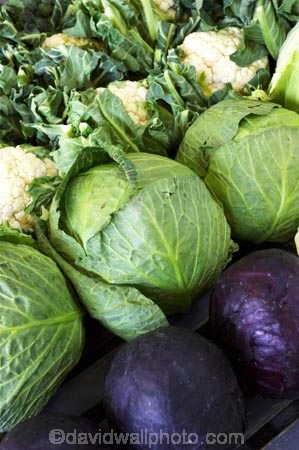 cabbage;cabbages;cauliflower;cauliflowers;Central-Otago;colorful;colourful;commerce;commercial;food;food-market;food-markets;food-stall;food-stalls;fruit;fruit-and-vegetables;fruit-market;market;market-place;market_place;marketplace;markets;New-Zealand;produce;produce-market;produce-markets;product;products;red-cabbage;red-cabbages;retail;retailer;retailers;shop;shopping;shops;South-Island;stall;stalls;steet-scene;street-scenes;vegetable;vegetable-stall;vegetables