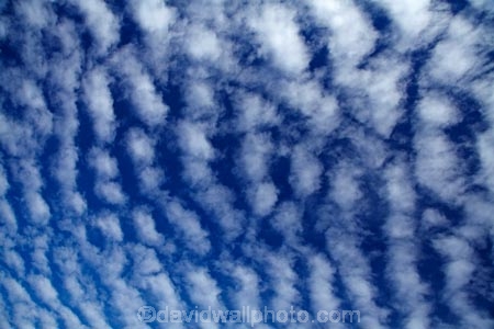 Aotearoa;autocumulus;autocumulus-undulatus;Bannockburn;blue;Central-Otago;cloud;clouds;cloudy;N.Z.;New-Zealand;NZ;Otago;ripple;ripple-cloud;rippled;ripples;S.I.;SI;skies;sky;South-Is;South-Island;Sth-Is;undulatus-cloud;undulatus-clouds;wave-cloud;weather