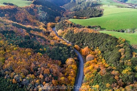 aerial;Aerial-drone;Aerial-drones;aerial-image;aerial-images;aerial-photo;aerial-photograph;aerial-photographs;aerial-photography;aerial-photos;aerial-view;aerial-views;aerials;autuminal;autumn;autumn-colour;autumn-colours;autumnal;bend;bends;Central-Otago;color;colors;colour;colours;corner;corners;curve;curves;deciduous;driving;Drone;Drones;fall;gold;golden;highway;highways;leaf;leaves;Manuka-Gorge;N.Z.;New-Zealand;NZ;open-road;open-roads;Otago;Quadcopter-aerial;Quadcopters-aerials;road;road-trip;roads;s-bend;s-bends;S.H.8;S.I.;season;seasonal;seasons;SH8;SI;South-Is;South-Island;State-Highway-8;State-Highway-Eight;Sth-Is;sycamore-tree;sycamore-trees;transport;transportation;tree;trees;trip;U.A.V.-aerial;UAV-aerials;yellow