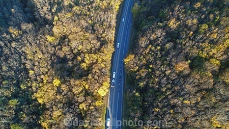 aerial;Aerial-drone;Aerial-drones;aerial-image;aerial-images;aerial-photo;aerial-photograph;aerial-photographs;aerial-photography;aerial-photos;aerial-view;aerial-views;aerials;autuminal;autumn;autumn-colour;autumn-colours;autumnal;bend;bends;car;cars;Central-Otago;color;colors;colour;colours;corner;corners;curve;curves;deciduous;driving;Drone;Drones;fall;forest;forests;gold;golden;highway;highways;leaf;leaves;Manuka-Gorge;N.Z.;New-Zealand;NZ;open-road;open-roads;Otago;Quadcopter-aerial;Quadcopters-aerials;road;road-trip;roads;s-bend;s-bends;S.H.8;S.I.;season;seasonal;seasons;SH8;SI;South-Is;South-Island;State-Highway-8;State-Highway-Eight;Sth-Is;sycamore-tree;sycamore-trees;traffic;transport;transportation;tree;trees;trip;U.A.V.-aerial;UAV-aerials;yellow