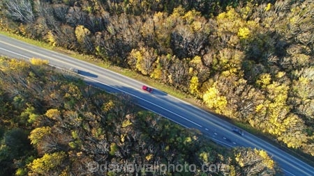 aerial;Aerial-drone;Aerial-drones;aerial-image;aerial-images;aerial-photo;aerial-photograph;aerial-photographs;aerial-photography;aerial-photos;aerial-view;aerial-views;aerials;autuminal;autumn;autumn-colour;autumn-colours;autumnal;bend;bends;car;cars;Central-Otago;color;colors;colour;colours;corner;corners;curve;curves;deciduous;driving;Drone;Drones;fall;forest;forests;gold;golden;highway;highways;leaf;leaves;Manuka-Gorge;N.Z.;New-Zealand;NZ;open-road;open-roads;Otago;Quadcopter-aerial;Quadcopters-aerials;road;road-trip;roads;s-bend;s-bends;S.H.8;S.I.;season;seasonal;seasons;SH8;SI;South-Is;South-Island;State-Highway-8;State-Highway-Eight;Sth-Is;sycamore-tree;sycamore-trees;traffic;transport;transportation;tree;trees;trip;U.A.V.-aerial;UAV-aerials;yellow
