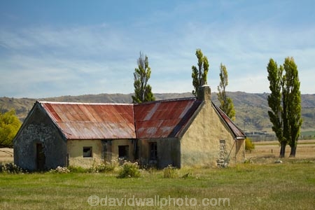 abandon;abandoned;building;buildings;Central-Otago;character;derelict;derelict-building;dereliction;deserted;desolate;desolation;destruction;heritage;historic;historic-building;historic-buildings;Historic-Ruins;historical;historical-building;historical-buildings;history;Maniototo;N.Z.;neglect;neglected;New-Zealand;NZ;old;old-fashioned;old_fashioned;Otago;Patearoa;poplar;poplars;ruin;ruins;run-down;rustic;South-Is;South-Island;tradition;traditional;tree;trees;vintage