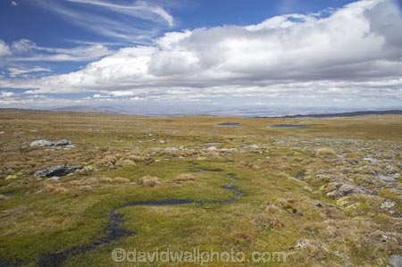 alpine;back-country;backcountry;bog;Central-Otago;high-altitude;high-country;highcountry;highlands;N.Z.;New-Zealand;NZ;Old-Woman-Conservation-Area;Old-Woman-Range;Otago;remote;remoteness;S.I.;SI;South-Island;uplands;wetland;wetlands