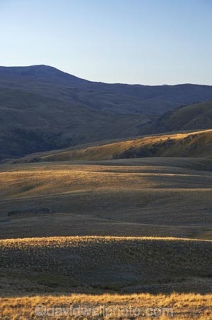 back-country;backcountry;Carrick-Range;Central-Otago;high-altitude;high-country;highcountry;highlands;N.Z.;Nevis-Valley;New-Zealand;NZ;Otago;remote;remoteness;S.I.;SI;South-Island;tussock;tussock-grass;tussocks;uplands