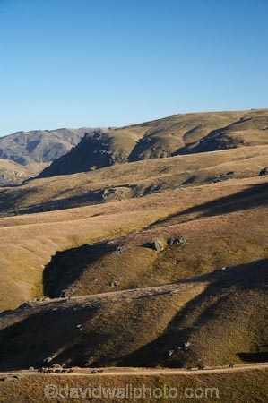 back-country;backcountry;Carrick-Range;cavalcade;Central-Otago;Central-Otago-Cavalcade;cow-boy;cow-boys;cowboy;cowboys;equestrian;high-country;Highcountry;highland;highlands;horse;horse-rider;horse-riders;horseback;horseman;horsemen;horses;N.Z.;Nevis-Road;Nevis-Valley;New-Zealand;NZ;rider;riders;S.I.;SI;South-Island;stockman;stockmen