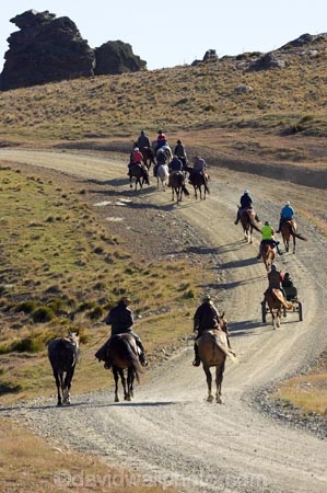 back-country;backcountry;Carrick-Range;cavalcade;Central-Otago;Central-Otago-Cavalcade;cow-boy;cow-boys;cowboy;cowboys;Duffers-Saddle;equestrian;high-country;Highcountry;highland;highlands;horse;horse-rider;horse-riders;horseback;horseman;horsemen;horses;N.Z.;Nevis-Road;Nevis-Valley;New-Zealand;NZ;rider;riders;S.I.;SI;South-Island;stockman;stockmen