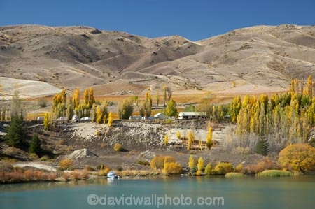 autuminal;autumn;autumn-colour;autumn-colours;autumnal;Bannockburn;Bannockburn-Inlet;Cairnmuir-Campground;Cairnmuir-Mountains;Camp;Camp-Ground;Camp-Grounds;Camp-Site;Camp-Sites;Camping;Camping-Area;Camping-Areas;Camping-Ground;Camping-Grounds;Camping-Site;Camping-Sites;Caravan-Park;Caravan-Parks;Central-Otago;color;colors;colour;colours;deciduous;fall;Holiday;Holiday-Park;Holiday-Parks;holidays;Lake-Dunstan;leaf;leaves;N.Z.;New-Zealand;NZ;S.I.;season;seasonal;seasons;SI;South-Island;tree;trees;vacation;vacations
