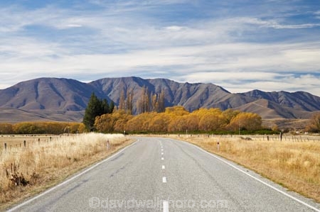 autuminal;autumn;autumn-colour;autumn-colours;autumnal;Central-Otago;centre-line;centre-lines;centre_line;centre_lines;centreline;centrelines;color;colors;colour;colours;deciduous;driving;fall;Hawkdun-Range;highway;highways;Ida-Range;Ida-Valley;leaf;leaves;Maniototo;N.Z.;New-Zealand;NZ;open-road;open-roads;Otago;road;road-trip;roads;S.I.;season;seasonal;seasons;SI;South-Island;transport;transportation;travel;traveling;travelling;tree;trees;trip