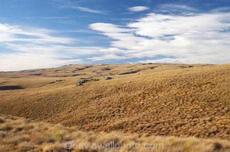 back-country;backcountry;Central-Otago;country;countryside;Department-of-Conservation-land;DOC-land;farm;farming;farmland;farms;field;fields;high-country;highcountry;highland;highlands;Lammermoor-Range;Lammermoor-Ranges;N.Z.;New-Zealand;NZ;Old-Dunstan-Road;Old-Dunstan-Track;Old-Dunstan-Trail;Otago;reserve;Rock-and-Pillar-Conservation-Area;Rock-and-Pillar-Range;Rock-and-Pillar-Ranges;rural;S.I.;SI;South-Island;tussock;tussocks