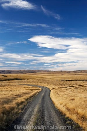 back-country;backcountry;Central-Otago;country;countryside;farm;farming;farmland;farms;field;fields;gravel-road;gravel-roads;high-country;highcountry;highland;highlands;Lammermoor-Range;Lammermoor-Ranges;metal-road;metal-roads;metalled-road;metalled-roads;N.Z.;New-Zealand;NZ;Old-Dunstan-Road;Old-Dunstan-Track;Old-Dunstan-Trail;Otago;road;roads;Rock-and-Pillar-Range;Rock-and-Pillar-Ranges;rural;S.I.;SI;South-Island
