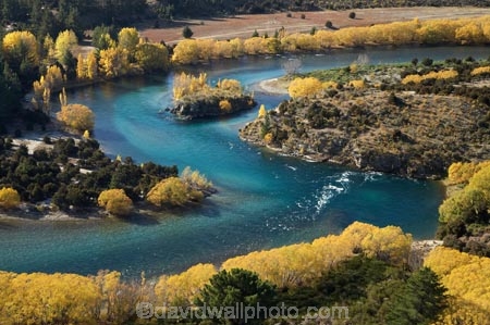 s-bend;aerial;aerial-photo;aerial-photograph;aerial-photographs;aerial-photography;aerial-photos;aerial-view;aerial-views;aerials;autuminal;autumn;autumn-colour;autumn-colours;autumnal;bend;bends;blue-water;Central-Otago;clean-water;clear-water;Clutha-River;color;colors;colour;colours;curve;curves;deciduous;Devils-Elbow-Bend;Devils-Elbow-Bend;fall;golden;horseshoe-bend;horseshoe-bends;Luggate;N.Z.;New-Zealand;NZ;Otago;oxbow-bend;pure-water;river;rivers;s-bend;S.I.;season;seasonal;seasons;SI;South-Is.;South-Island;tree;trees;Upper-Clutha;willow;willow-tree;willow-trees;willows;yellow
