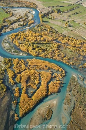 aerial;aerial-photo;aerial-photograph;aerial-photographs;aerial-photography;aerial-photos;aerial-view;aerial-views;aerials;autuminal;autumn;autumn-colour;autumn-colours;Autumn-Willow-Trees;autumnal;bend;bends;braided-river;braided-rivers;Central-Otago;Clutha-River;Clutha-River-Delta;color;colors;colour;colours;creek;creeks;deciduous;delta;deltas;fall;golden;meander;meandering;meandering-river;meandering-rivers;N.Z.;New-Zealand;NZ;Otago;river;river-delta;river-deltas;rivers;S.I.;season;seasonal;seasons;SI;South-Is.;South-Island;stream;streams;tree;trees;Upper-Clutha;willow;willow-tree;willow-trees;willows;yellow