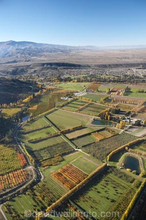aerial;aerial-photo;aerial-photograph;aerial-photographs;aerial-photography;aerial-photos;aerial-view;aerial-views;aerials;agricultural;agriculture;Alexandra;autuminal;autumn;autumn-colour;autumn-colours;autumnal;Central-Otago;color;colors;colour;colours;country;countryside;crop;crops;deciduous;Earnscleugh;fall;farm;farming;farmland;farms;field;fields;fruit;fruit-tree;fruit-trees;horticulture;irrigation-pond;irrigation-ponds;meadow;meadows;N.Z.;New-Zealand;NZ;Orchard;orchards;Otago;paddock;paddocks;pasture;pastures;pond;ponds;poplar;poplar-tree;Poplar-Trees;poplars;row;rows;rural;S.I.;season;seasonal;seasons;SI;South-Is.;South-Island;tree;trees