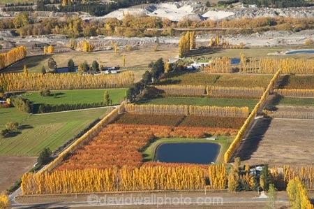 aerial;aerial-photo;aerial-photograph;aerial-photographs;aerial-photography;aerial-photos;aerial-view;aerial-views;aerials;agricultural;agriculture;Alexandra;autuminal;autumn;autumn-colour;autumn-colours;autumnal;Central-Otago;color;colors;colour;colours;country;countryside;crop;crops;deciduous;Earnscleugh;fall;farm;farming;farmland;farms;field;fields;fruit;fruit-tree;fruit-trees;horticulture;irrigation-pond;irrigation-ponds;meadow;meadows;N.Z.;New-Zealand;NZ;orange;orchard;orchards;Otago;paddock;paddocks;pasture;pastures;pond;ponds;poplar;poplar-tree;Poplar-Trees;poplars;row;rows;rural;S.I.;season;seasonal;seasons;SI;South-Is.;South-Island;tree;trees