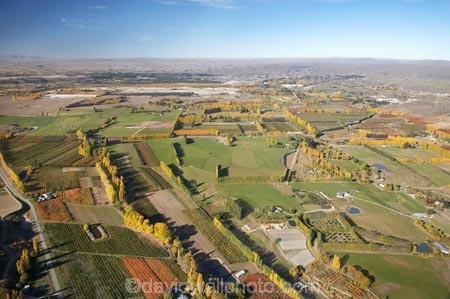 aerial;aerial-photo;aerial-photograph;aerial-photographs;aerial-photography;aerial-photos;aerial-view;aerial-views;aerials;agricultural;agriculture;Alexandra;autuminal;autumn;autumn-colour;autumn-colours;autumnal;Central-Otago;color;colors;colour;colours;country;countryside;crop;crops;deciduous;Earnscleugh;fall;farm;farming;farmland;farms;field;fields;fruit;fruit-tree;fruit-trees;horticulture;meadow;meadows;N.Z.;New-Zealand;NZ;Orchard;orchards;Otago;paddock;paddocks;pasture;pastures;poplar;poplar-tree;Poplar-Trees;poplars;row;rows;rural;S.I.;season;seasonal;seasons;SI;South-Is.;South-Island;tree;trees