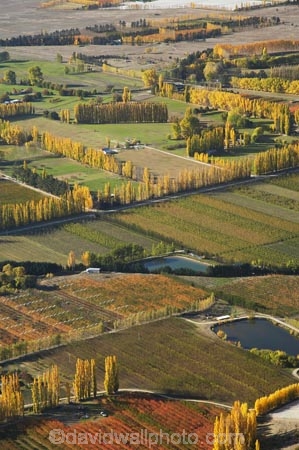 aerial;aerial-photo;aerial-photograph;aerial-photographs;aerial-photography;aerial-photos;aerial-view;aerial-views;aerials;agricultural;agriculture;Alexandra;autuminal;autumn;autumn-colour;autumn-colours;autumnal;Central-Otago;color;colors;colour;colours;country;countryside;crop;crops;deciduous;Earnscleugh;fall;farm;farming;farmland;farms;field;fields;fruit;fruit-tree;fruit-trees;horticulture;irrigation-pond;irrigation-ponds;meadow;meadows;N.Z.;New-Zealand;NZ;orchard;orchards;Otago;paddock;paddocks;pasture;pastures;pond;ponds;poplar;poplar-tree;poplar-trees;poplars;row;rows;rural;S.I.;season;seasonal;seasons;SI;South-Is.;South-Island;tree;trees