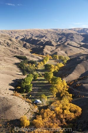 aerial;aerial-photo;aerial-photograph;aerial-photographs;aerial-photography;aerial-photos;aerial-view;aerial-views;aerials;agricultural;agriculture;arid;autuminal;autumn;autumn-colour;autumn-colours;autumnal;back-country;backcountry;Bannockburn;barren;Central-Otago;color;colors;colour;colours;contrast;contrasts;country;countryside;crop;crops;deciduous;drought;dry;fall;farm;farming;farmland;farms;field;fields;Hawksburn;high-altitude;high-country;highcountry;highlands;horticulture;irrigation;meadow;meadows;N.Z.;New-Zealand;NZ;oasis;Otago;paddock;paddocks;pasture;pastures;remote;remoteness;rural;S.I.;season;seasonal;seasons;semi_arid;SI;South-Is.;South-Island;tree;trees;uplands;valley;valleys;willow;willow-tree;willow-trees;willows