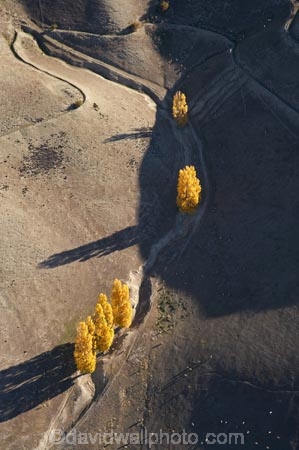 aerial;aerial-photo;aerial-photograph;aerial-photographs;aerial-photography;aerial-photos;aerial-view;aerial-views;aerials;agricultural;agriculture;arid;autuminal;autumn;autumn-colour;autumn-colours;autumnal;Bannockburn;Central-Otago;color;colors;colour;colours;country;countryside;deciduous;drought;dry;fall;farm;farming;farmland;farms;field;fields;meadow;meadows;N.Z.;New-Zealand;NZ;Otago;paddock;paddocks;pasture;pastures;poplar;poplar-tree;poplar-trees;poplars;rural;S.I.;season;seasonal;seasons;semi_arid;sheep;SI;South-Is.;South-Island;stock;tree;trees;yellow