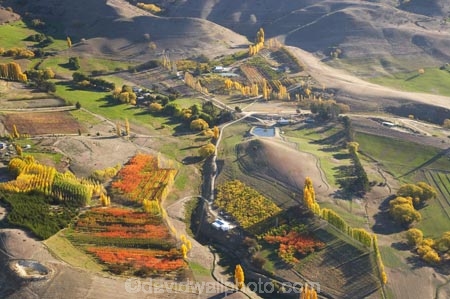 aerial;aerial-photo;aerial-photograph;aerial-photographs;aerial-photography;aerial-photos;aerial-view;aerial-views;aerials;agricultural;agriculture;autuminal;autumn;autumn-colour;autumn-colours;autumnal;Bannockburn;Central-Otago;color;colors;colour;colours;country;countryside;crop;crops;deciduous;fall;farm;farming;farmland;farms;field;fields;fruit;fruit-tree;fruit-trees;horticulture;irrigate;irrigation;leaf;leaves;meadow;meadows;N.Z.;New-Zealand;NZ;orchard;orchards;Otago;paddock;paddocks;pasture;pastures;poplar;poplar-tree;poplar-trees;poplars;row;rows;rural;S.I.;season;seasonal;seasons;SI;South-Is.;South-Island;tree;trees;willow;willow-tree;willow-trees;willows