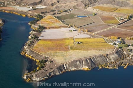 aerial;aerial-photo;aerial-photograph;aerial-photographs;aerial-photography;aerial-photos;aerial-view;aerial-views;aerials;agricultural;agriculture;autuminal;autumn;autumn-colour;autumn-colours;autumnal;Bannockburn;Bannockburn-Inlet;Cairnmuir-Terraces;Cairnmuir-Vineyard;Cairnmuir-Vineyards;Carrick-Vineyard;Carrick-Vineyards;Carrick-Winery;Carrick-Wines;Central-Otago;central-otago-vineyard;central-otago-vineyards;central-otago-wineries;central-otago-winery;color;colors;colour;colours;country;countryside;crop;crops;cultivation;deciduous;fall;farm;farming;farmland;farms;field;fields;grape;grapes;grapevine;horticulture;hydro-lake;hydro-lakes;Kawarau-Arm;lake;Lake-Dunstan;lakes;N.Z.;New-Zealand;NZ;Otago;ripple;rippled;ripples;row;rows;rural;S.I.;season;seasonal;seasons;SI;silt-up;siltation;silting;South-Is.;south-island;tree;trees;vine;vines;vineyard;vineyards;vintage;water;wineage;wineries;winery;wines