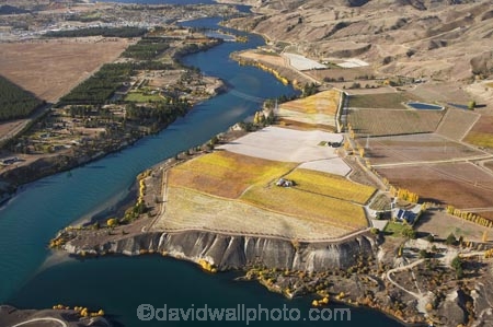 aerial;aerial-photo;aerial-photograph;aerial-photographs;aerial-photography;aerial-photos;aerial-view;aerial-views;aerials;agricultural;agriculture;autuminal;autumn;autumn-colour;autumn-colours;autumnal;Bannockburn;Bannockburn-Inlet;Cairnmuir-Terraces;Cairnmuir-Vineyard;Cairnmuir-Vineyards;Carrick-Vineyard;Carrick-Vineyards;Carrick-Winery;Carrick-Wines;Central-Otago;central-otago-vineyard;central-otago-vineyards;central-otago-wineries;central-otago-winery;color;colors;colour;colours;country;countryside;crop;crops;cultivation;deciduous;fall;farm;farming;farmland;farms;field;fields;grape;grapes;grapevine;horticulture;hydro-lake;hydro-lakes;Kawarau-Arm;lake;Lake-Dunstan;lakes;N.Z.;New-Zealand;NZ;Otago;ripple;rippled;ripples;row;rows;rural;S.I.;season;seasonal;seasons;SI;silt-up;siltation;silting;South-Is.;south-island;tree;trees;vine;vines;vineyard;vineyards;vintage;water;wineage;wineries;winery;wines