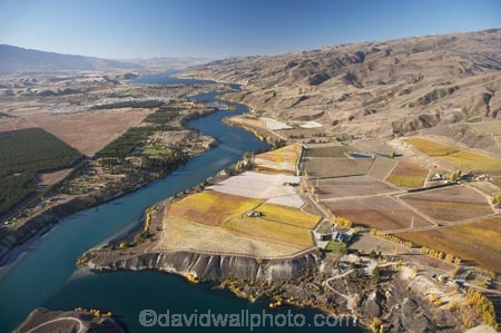 aerial;aerial-photo;aerial-photograph;aerial-photographs;aerial-photography;aerial-photos;aerial-view;aerial-views;aerials;agricultural;agriculture;autuminal;autumn;autumn-colour;autumn-colours;autumnal;Bannockburn;Bannockburn-Inlet;Cairnmuir-Mountains;Cairnmuir-Range;Cairnmuir-Terraces;Cairnmuir-Vineyard;Cairnmuir-Vineyards;Carrick-Vineyard;Carrick-Vineyards;Carrick-Winery;Carrick-Wines;Central-Otago;central-otago-vineyard;central-otago-vineyards;central-otago-wineries;central-otago-winery;color;colors;colour;colours;country;countryside;crop;crops;cultivation;deciduous;Dunstan-Mountains;fall;farm;farming;farmland;farms;field;fields;grape;grapes;grapevine;horticulture;hydro-lake;hydro-lakes;Kawarau-Arm;lake;Lake-Dunstan;lakes;N.Z.;New-Zealand;NZ;Otago;ripple;rippled;ripples;row;rows;rural;S.I.;season;seasonal;seasons;SI;silt-up;siltation;silting;South-Is.;south-island;tree;trees;vine;vines;vineyard;vineyards;vintage;water;wineage;wineries;winery;wines